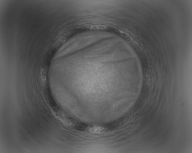 X0000082990695200702230100