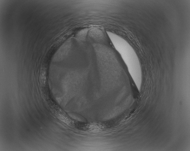 X0000082990697200702230100