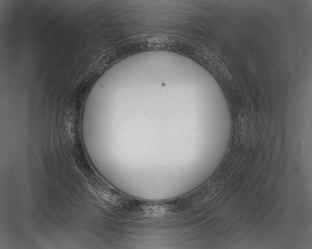 X0000082990698200702230100