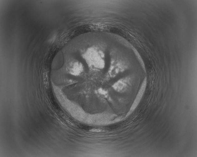 X0000082990699200702230100