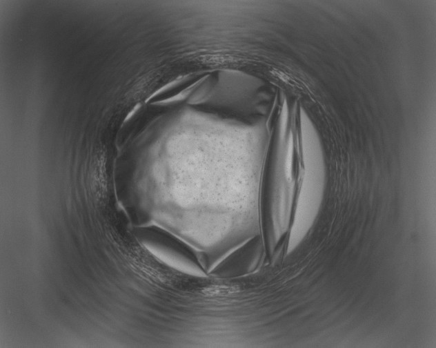 X0000082990700200702230100