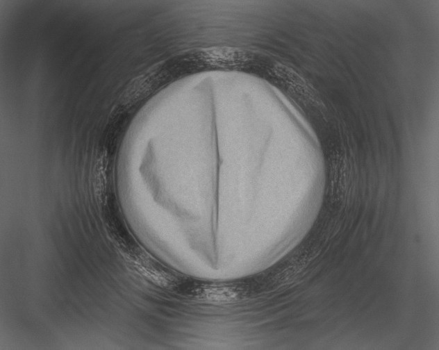 X0000082990702200702230100