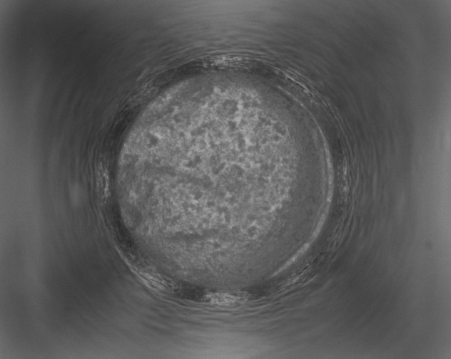 X0000082990703200702230100