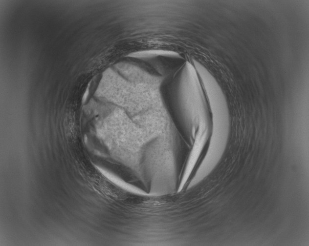 X0000082990704200702230100