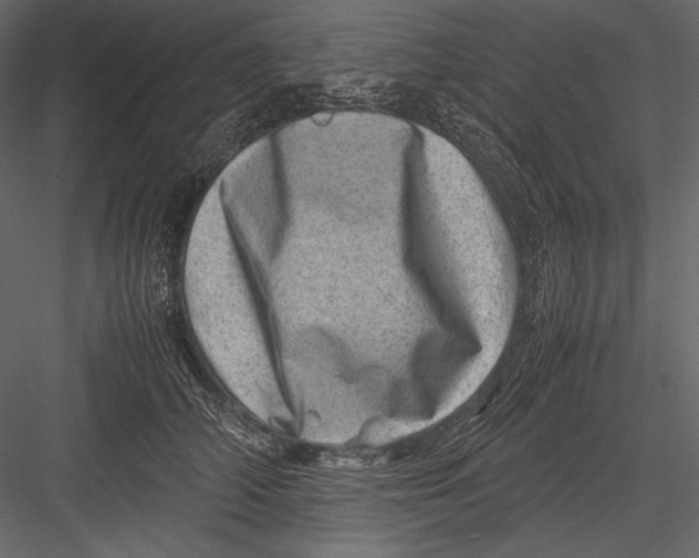 X0000082990706200702230100