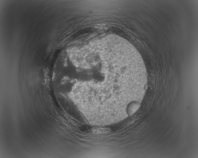 X0000082990707200702230100