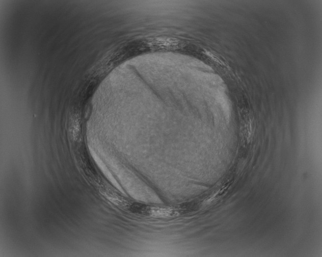 X0000082990709200702230100