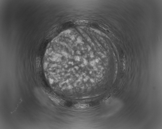 X0000082990711200702230100