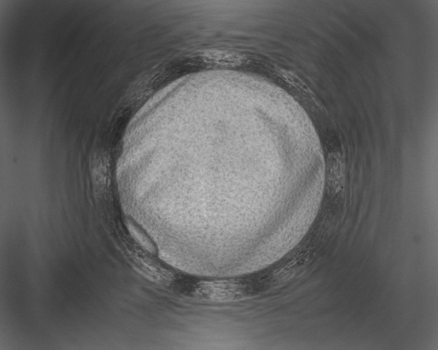 X0000082990713200702230100