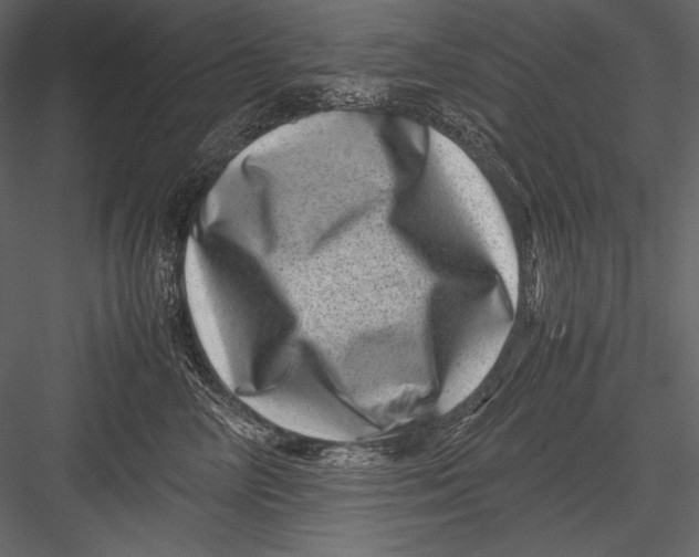 X0000082990714200702230100