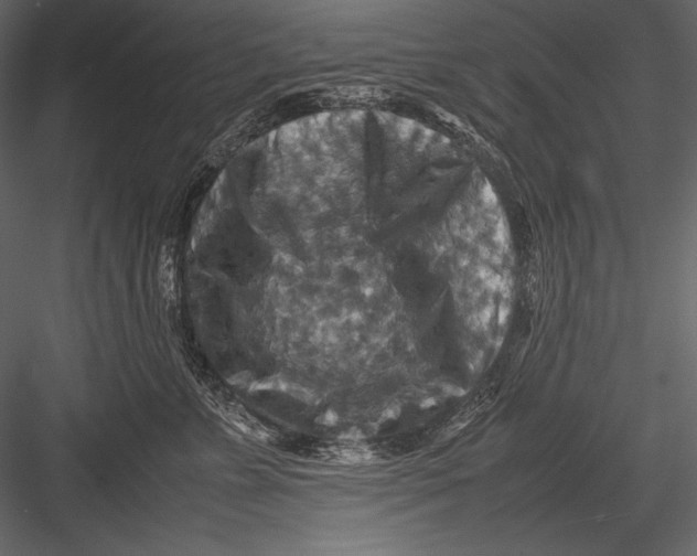 X0000082990715200702230100