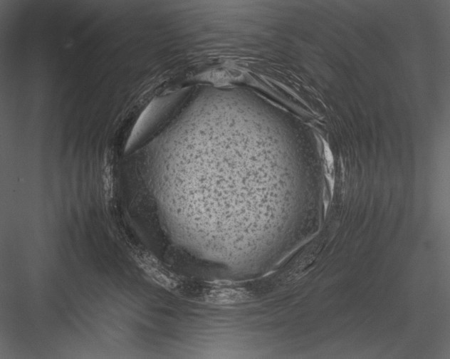 X0000082990716200702230100