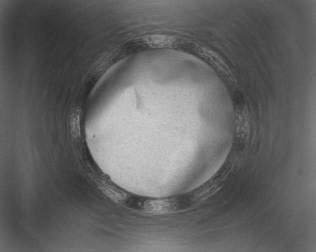 X0000082990717200702230100