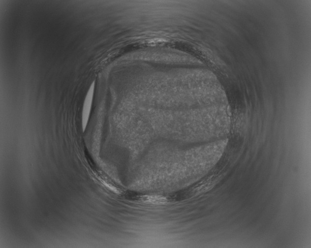 X0000082990719200702230100