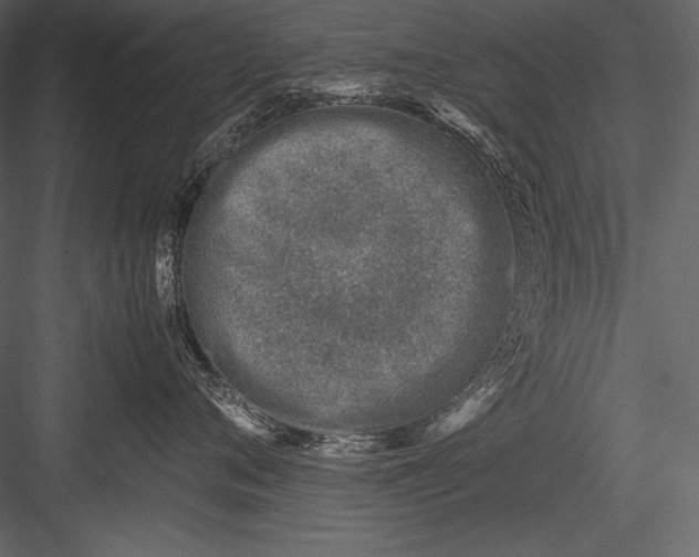 X0000082990720200702230100