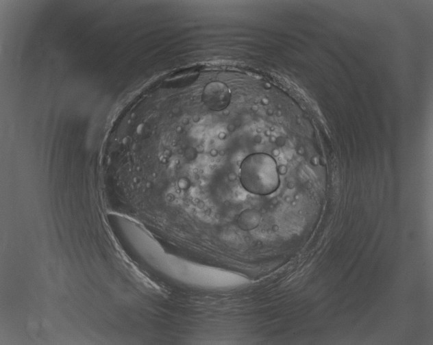 X0000082990721200702230059