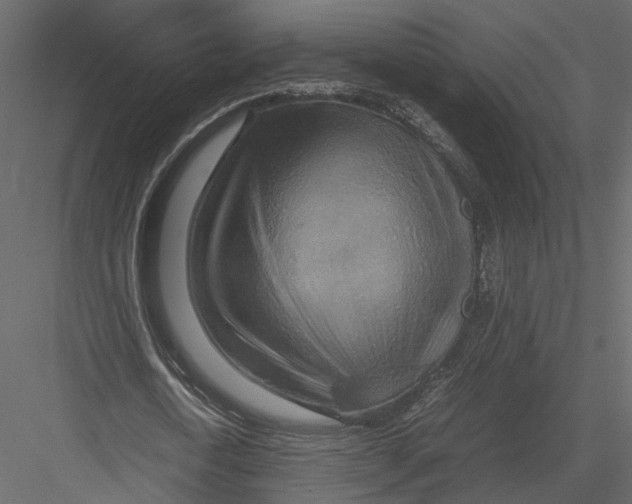 X0000082990722200702230059