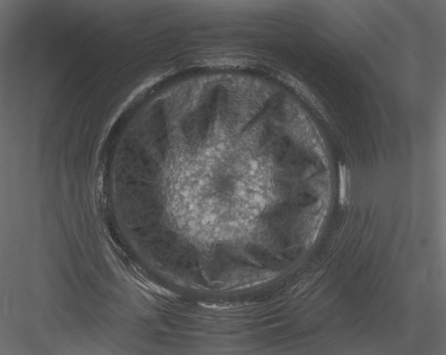 X0000082990723200702230059