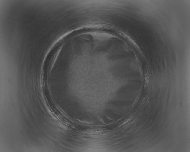 X0000082990724200702230059