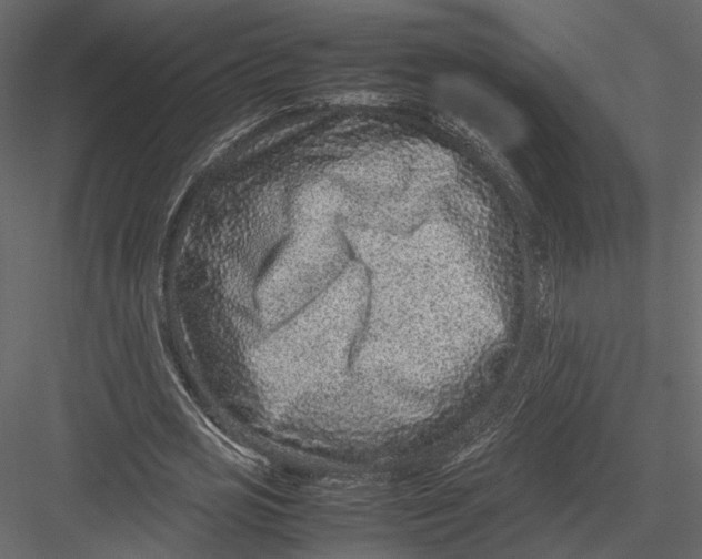 X0000082990725200702230059