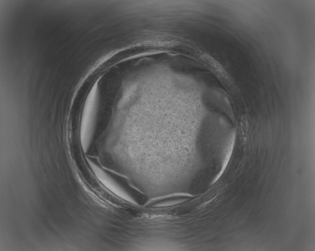 X0000082990726200702230059