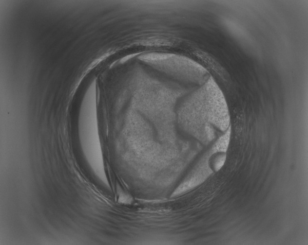 X0000082990727200702230059