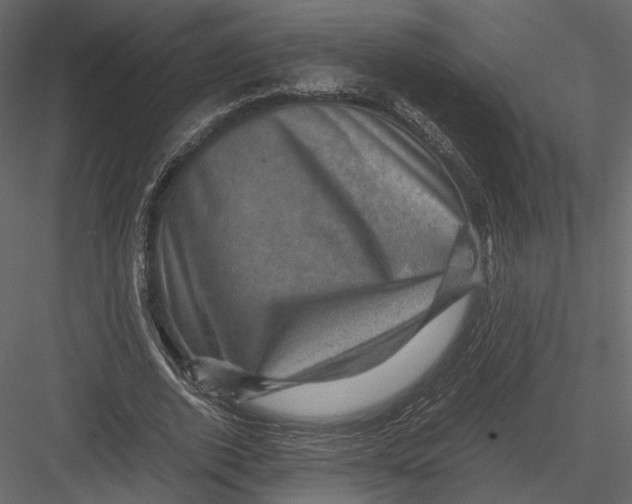 X0000082990728200702230059