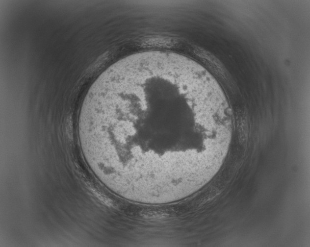 X0000082990729200702230059