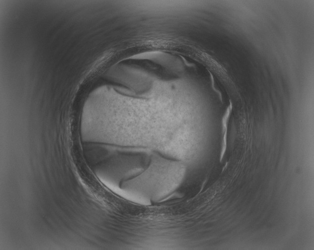 X0000082990730200702230059