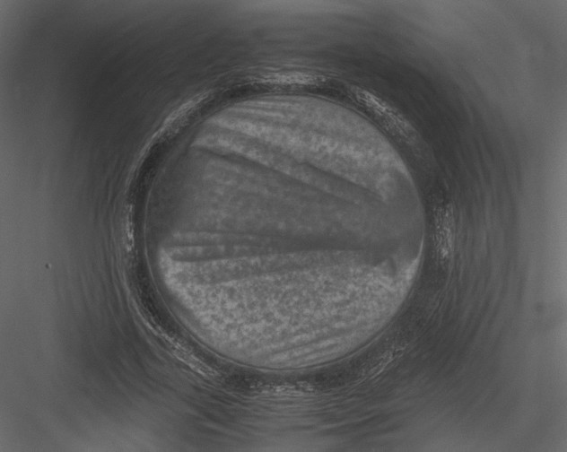 X0000082990731200702230059