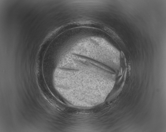 X0000082990732200702230059