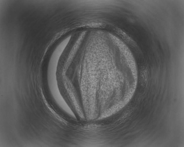 X0000082990734200702230059