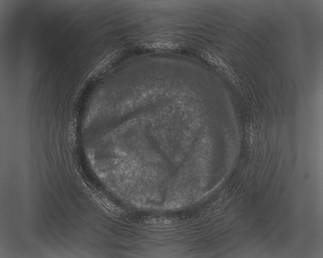 X0000082990735200702230059