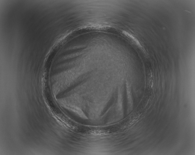 X0000082990736200702230059