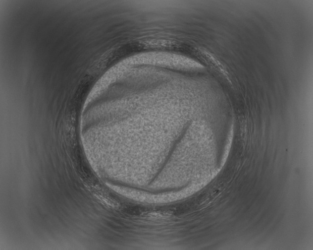 X0000082990737200702230059