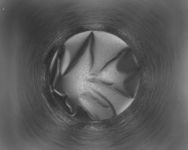 X0000082990739200702230059