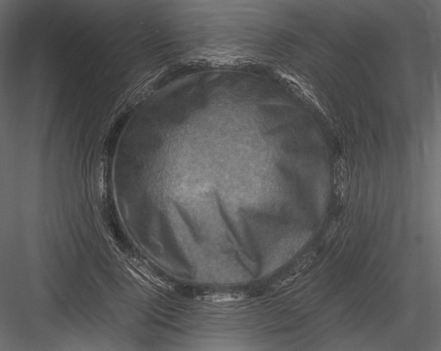 X0000082990740200702230059