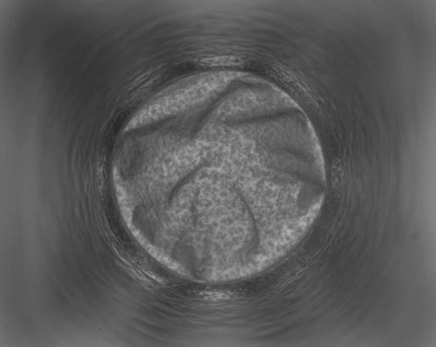 X0000082990741200702230059