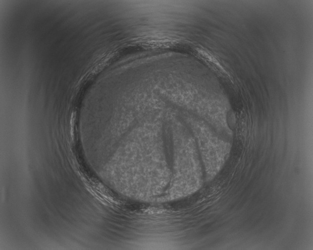 X0000082990742200702230059