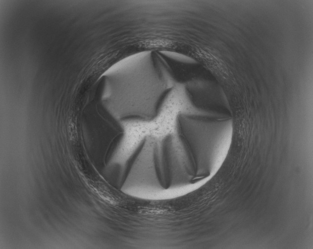 X0000082990743200702230059