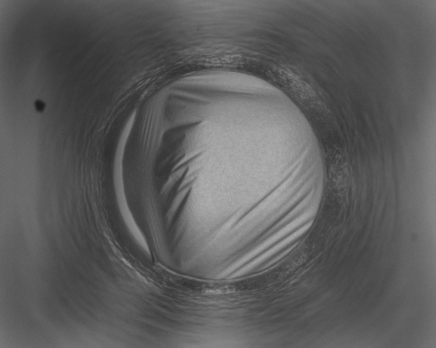 X0000082990744200702230059