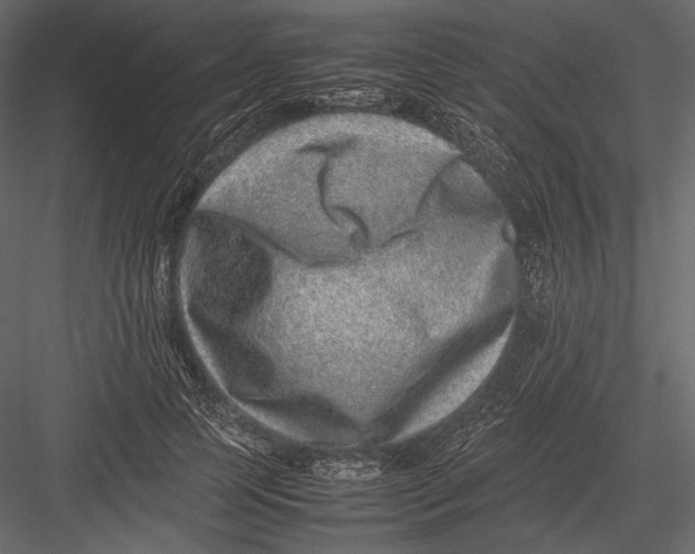 X0000082990745200702230059