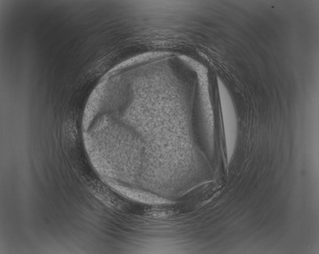 X0000082990746200702230059