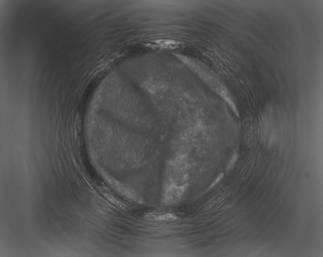 X0000082990747200702230059