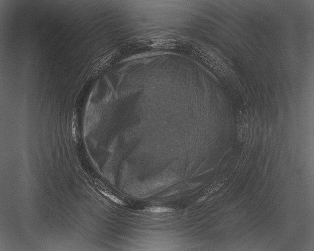 X0000082990748200702230059