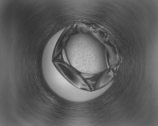 X0000082990750200702230059