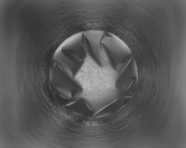 X0000082990751200702230059