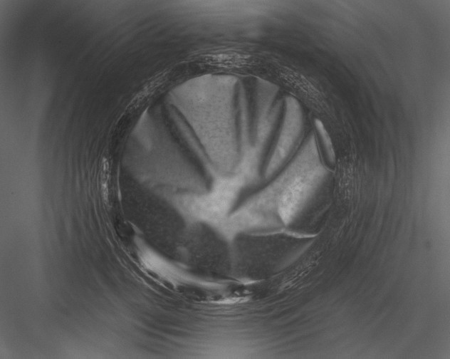 X0000082990752200702230059