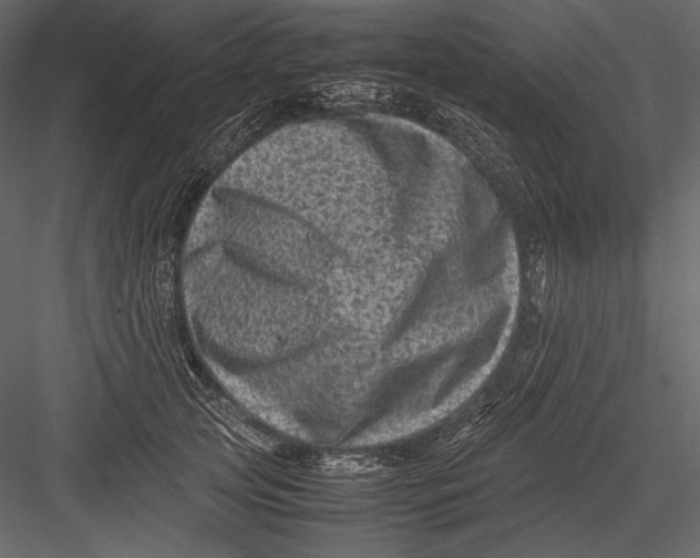 X0000082990753200702230100