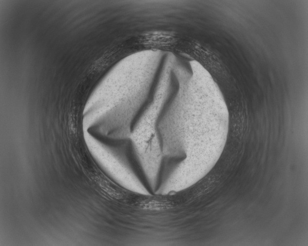 X0000082990755200702230100